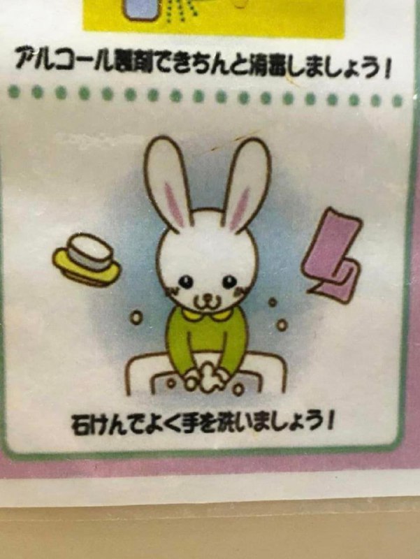 from 平壤卫视from 平壤卫视