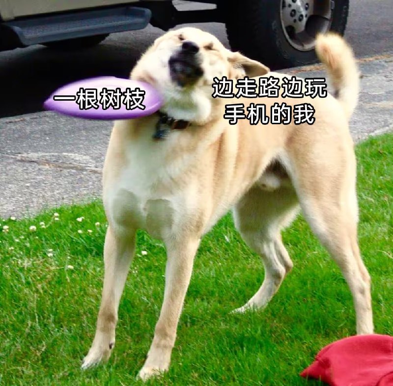 via 7号沙雕网友