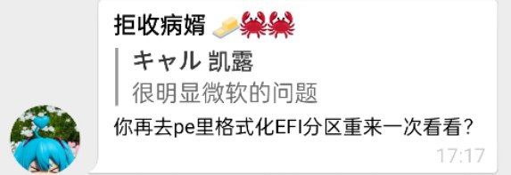 热心群友告诉我可以格式化EFI分区试试当我摸出U盘进入PE之后......日！你！妈！为！什！么！我系统盘被清空了！！！！！！热心群友告诉我可以格式化EFI分区试试当我摸出U盘进入PE之后......日！你！妈！为！什！么！我系统盘被清空了！！！！！！