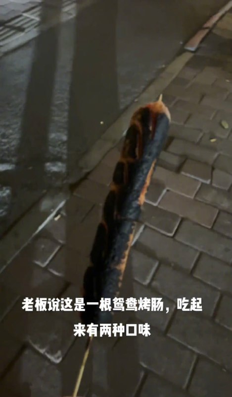 🤔from 平壤卫视🤔from 平壤卫视