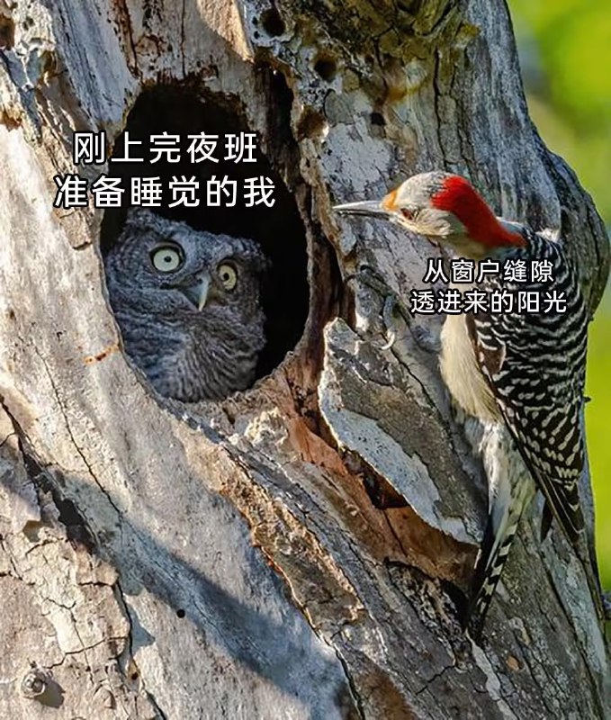 via 7号沙雕网友