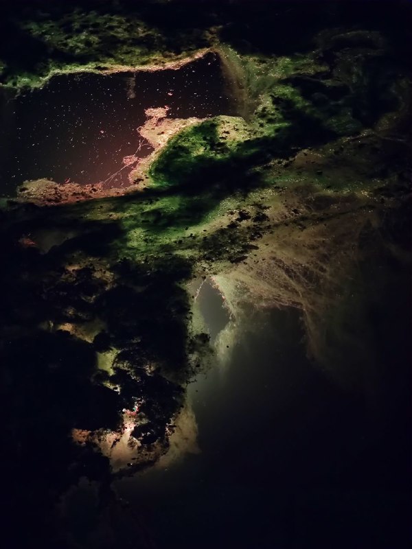 路过一个水池，发现射灯附近有一些絮状水藻，看起来像星云via 霁寒霄路过一个水池，发现射灯附近有一些絮状水藻，看起来像星云via 霁寒霄