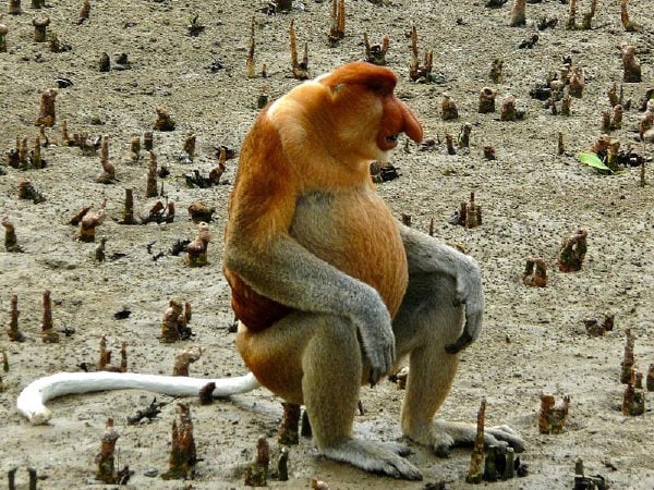 ?