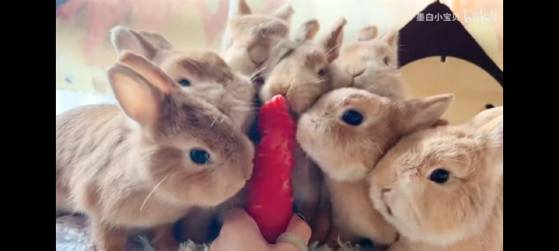 像啊很像啊from 御坂 via 御坂
