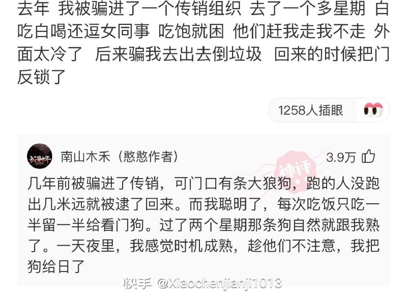 乐