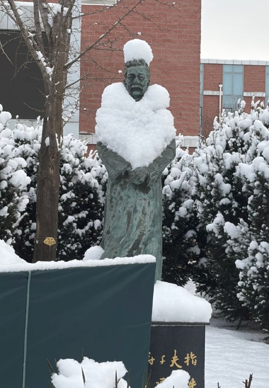 北京大雪过后鲁迅先生雕像变成了贵妇风……from 平壤卫视