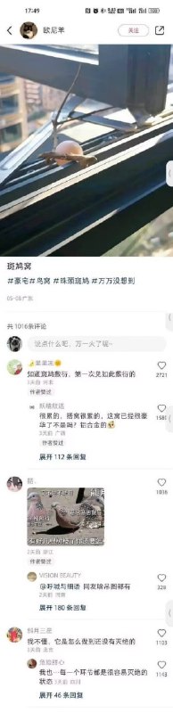 via Haiun Bccny