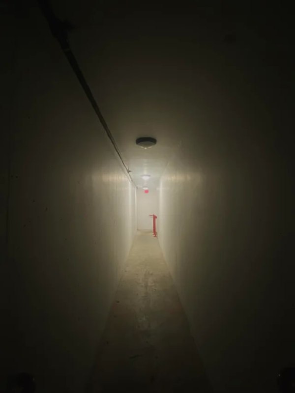 已经开始害怕了已经开始害怕了