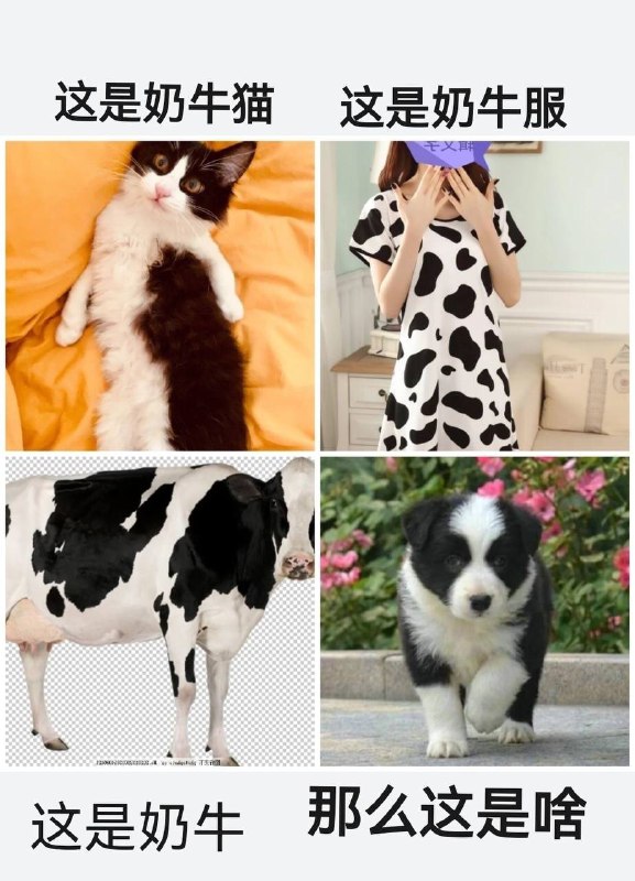 via 犯罪嫌疑人张某