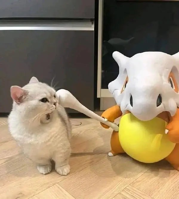 via 每天只睡23h