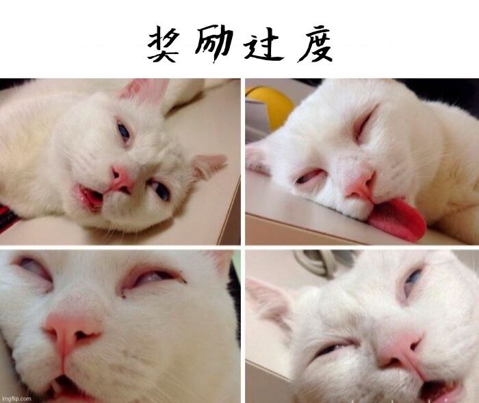 猫猫我呀,要冲死啦😇via (=^-ω-^=) ㅤ