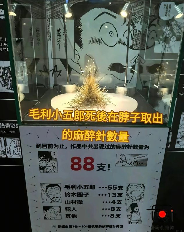 from 平壤卫视