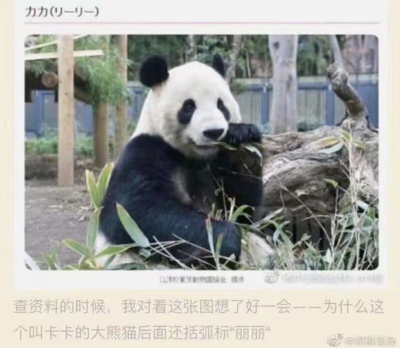 不标力力就变カカ了是吧from rvalue的生草日常