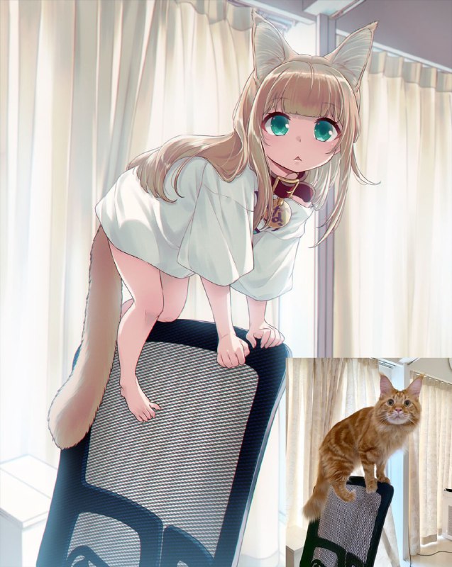from 每日无数猫from 每日无数猫