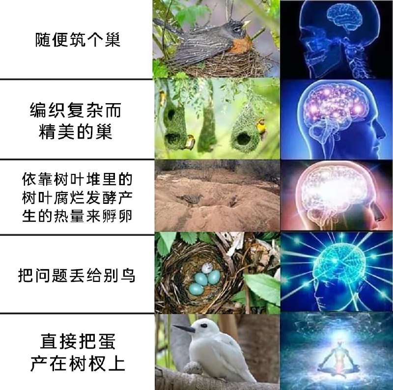 via 7号沙雕网友