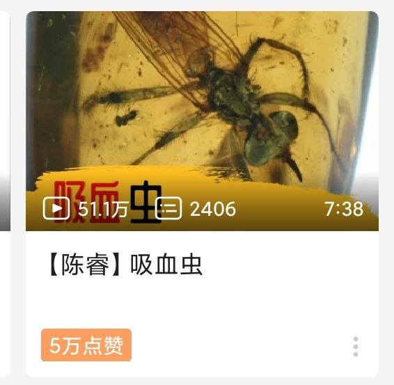 via 夏蜜柑