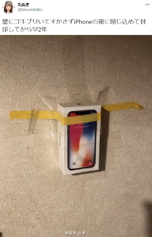 本妹子说距离她把墙上的蟑螂封印在手机盒里已经过去了两年