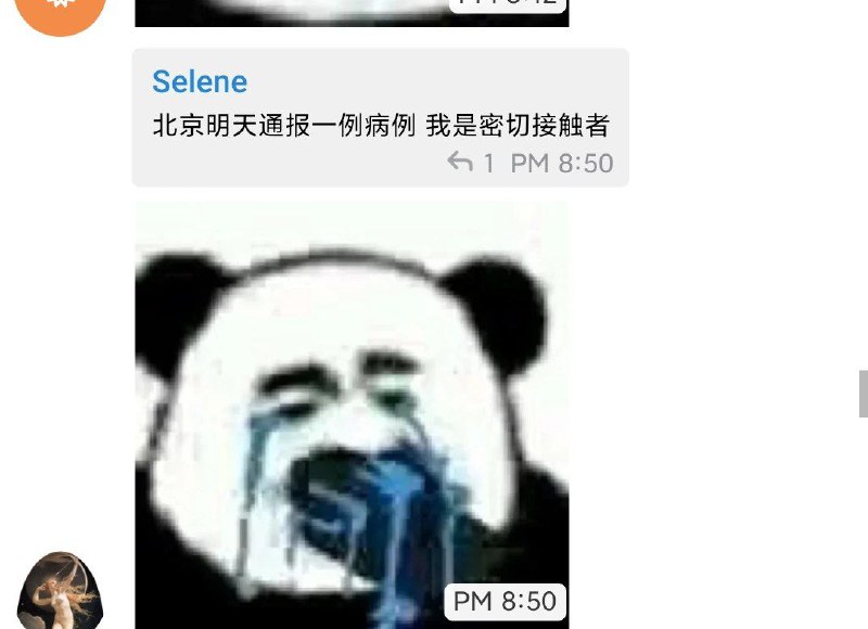 就这么眼睁睁的看着群友被一个又一个的带走(from キャル 凯露