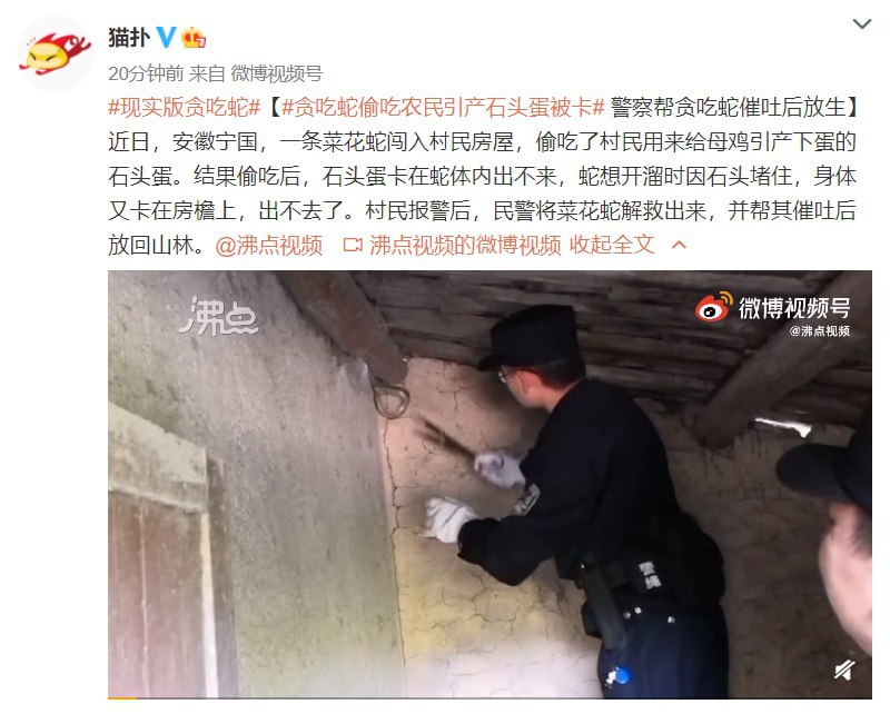 太丢蛇了