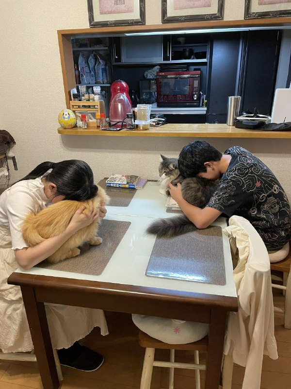 from ( ° ∀