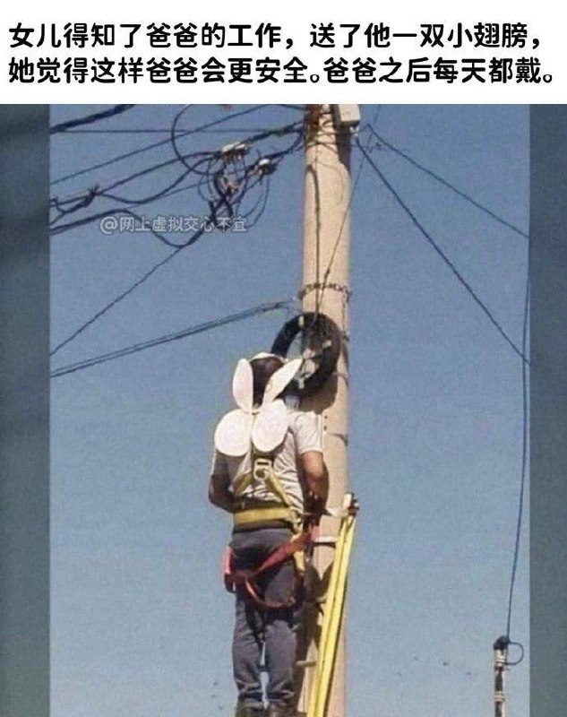 via 张某 犯罪嫌疑人
