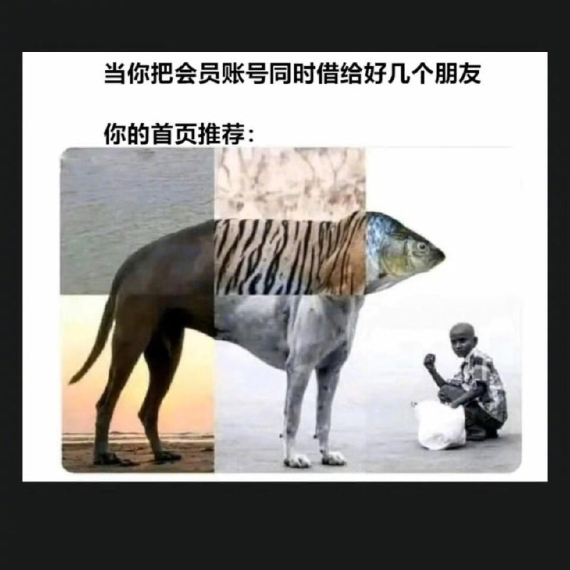 via Kame
