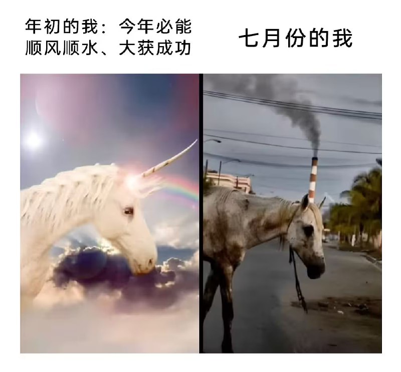 via 7号沙雕网友