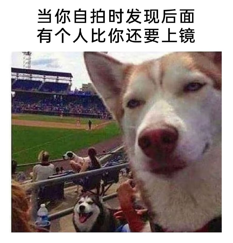 via 7号沙雕网友