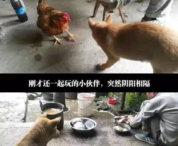 via RRRRRRR 7个R