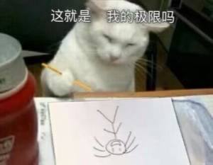 from 平壤卫视