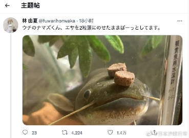 他是不是不知道自己头顶有饭？顶着两颗饭饭在发呆他是不是不知道自己头顶有饭？顶着两颗饭饭在发呆