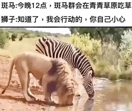 via 7号沙雕网友