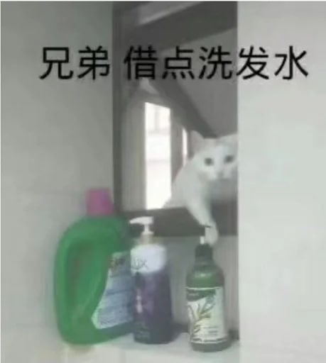 from 美图与沙雕