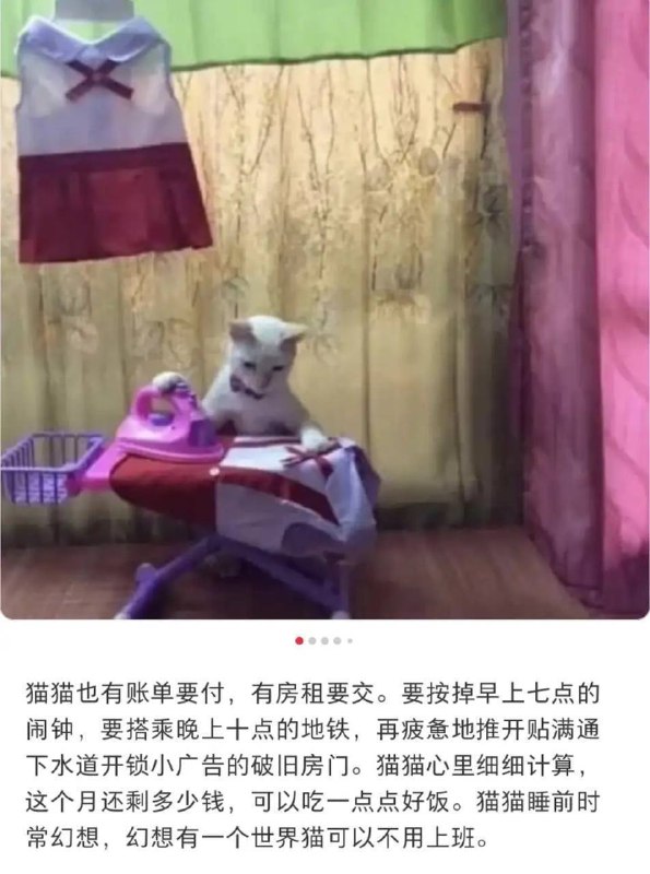 via 犯罪嫌疑人张某via 犯罪嫌疑人张某
