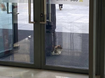 🐶：为什么要区别对待我🐶：为什么要区别对待我