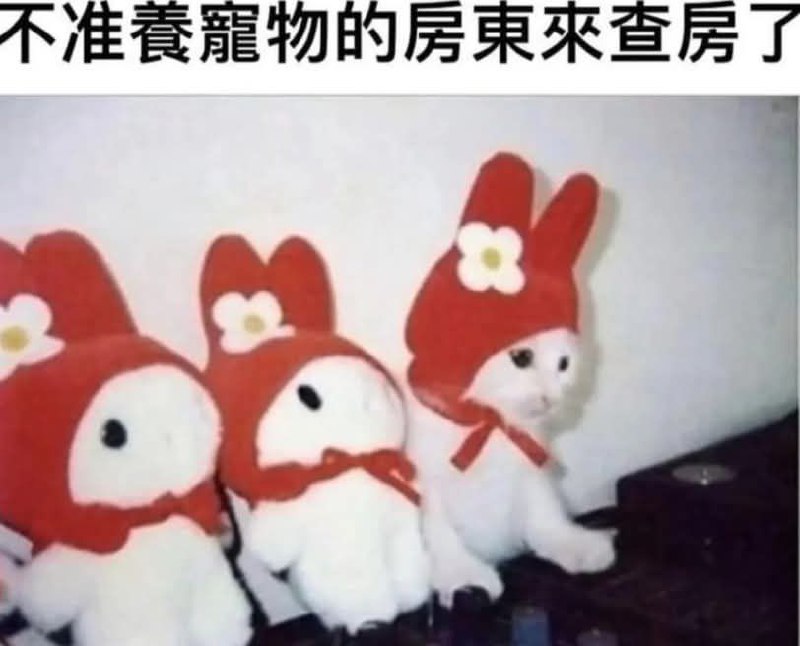 from 什麼都來點 via DECADE