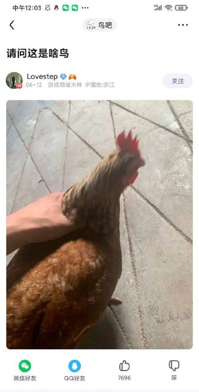 via efsgvia efsg