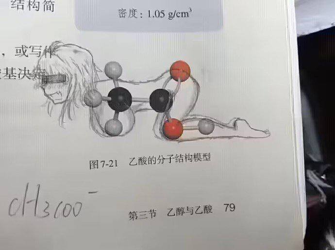 from 平壤卫视