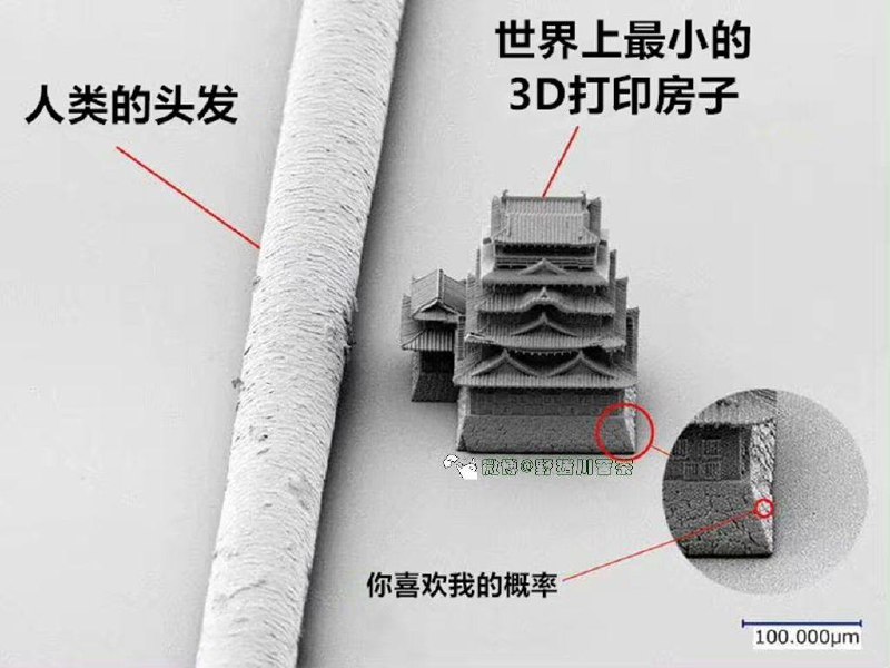 via 张某 犯罪嫌疑人