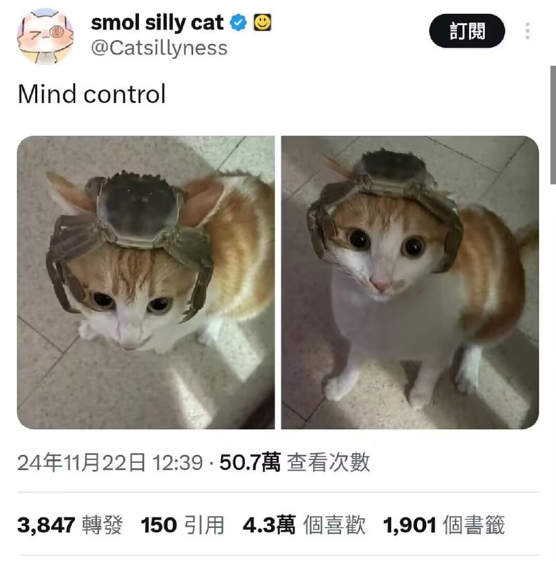 via 6号沙雕网友