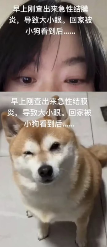 via 7号沙雕网友