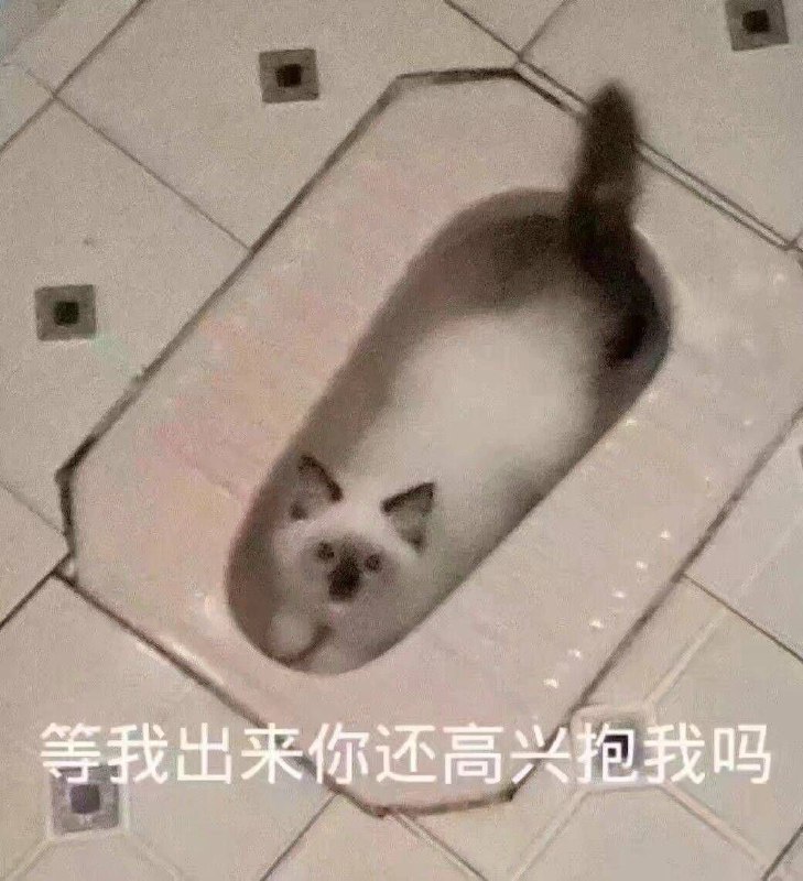 via 喵喵 猫猫