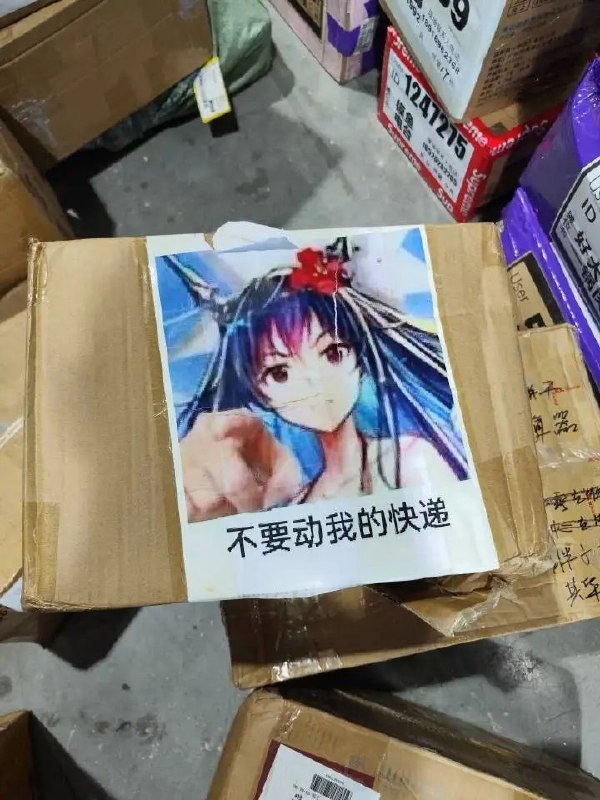from ️每日节奏️👑