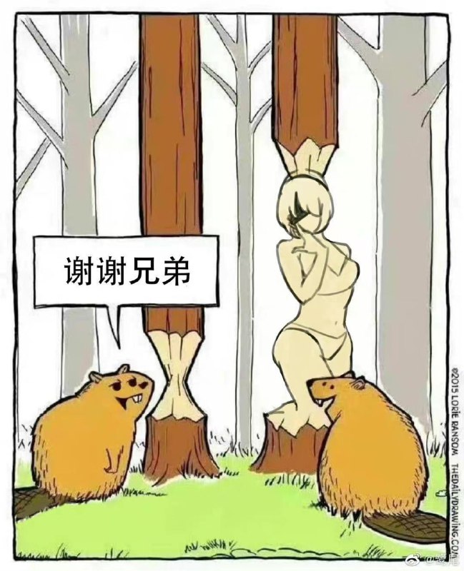 from Funny LiFePO4：沙雕吐槽from Funny LiFePO4：沙雕吐槽