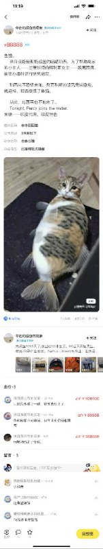 via 喵喵 猫猫via 喵喵 猫猫
