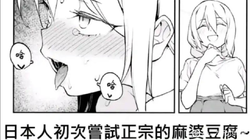 via 犯罪嫌疑人张某