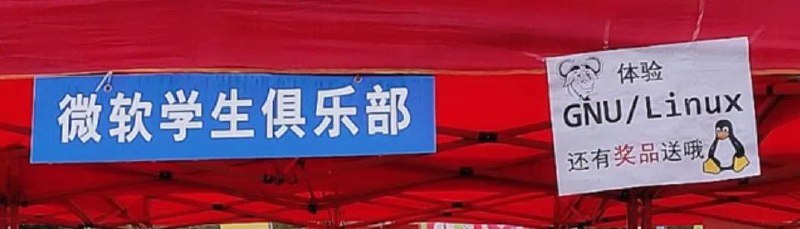from ksyx#精品