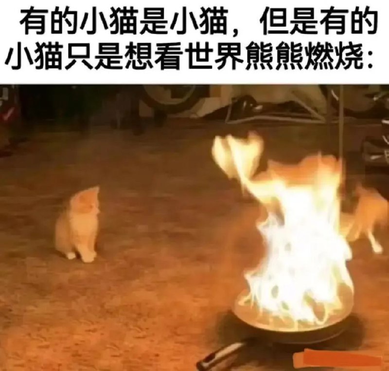 via 蘇