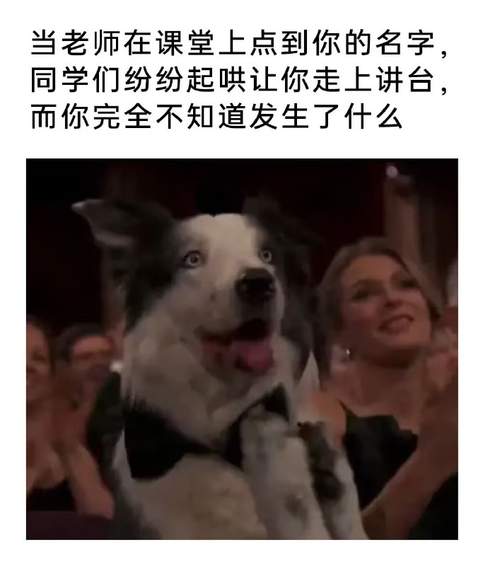 via 7号沙雕网友
