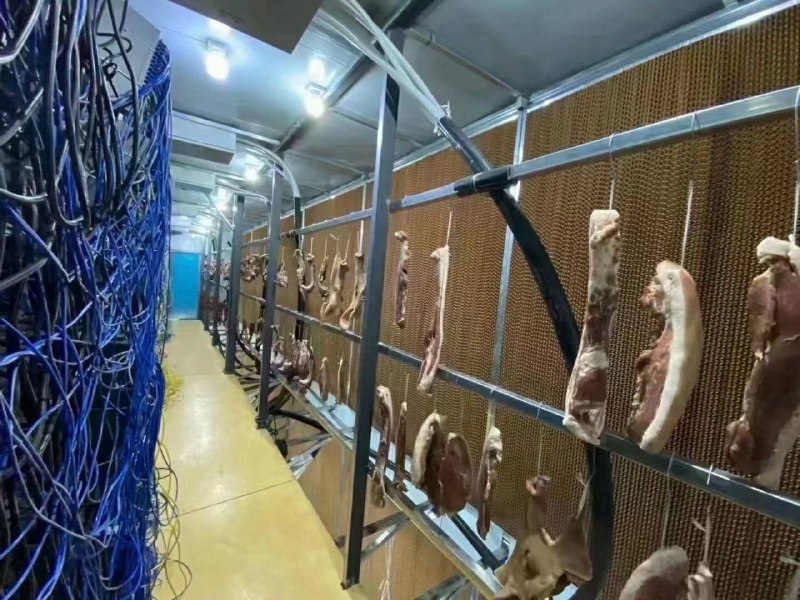 赛 博 腊 肉